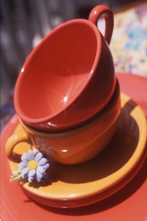 東京でフラワー教室をお探しなら