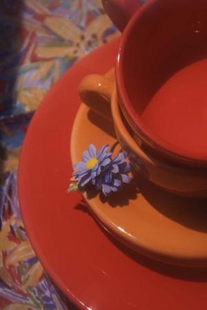 ソーラーシェアリングでエコロジーを意識