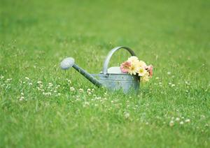 便利な保管サービスが利用できる