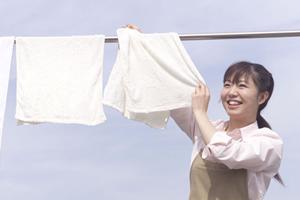 全てのエレベーターを修理する専門会社