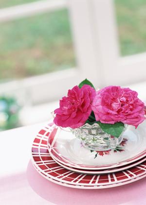 最新のオリジナルTシャツをで導入