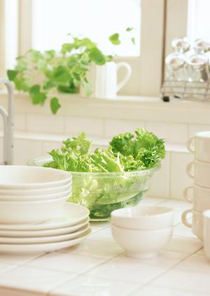 上手な出張カメラマンの使い方について